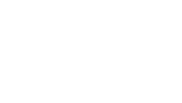 新潟市東区の住宅街にありながら数々の賞を受賞した有名店。日本の名勝天然記念物に指定されている新潟最北端「笹川流れ」の藻塩を使用した塩タレ！金色に輝く鶏ガラスープにホタテやアサリの旨味も凝縮した日本海を楽しめる至極の1杯！